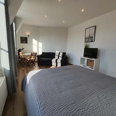 De Charme Toits Parisiens *